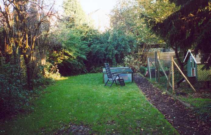 Garten und Huehner